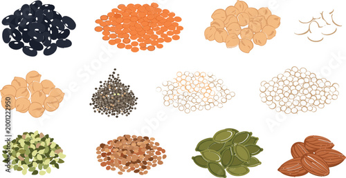 Assorted Nuts, Seeds and Legumes Vector Set Featuring Almonds, Pumpkin Seeds, Lentils, Beans and Grains in Flat Illustration Style