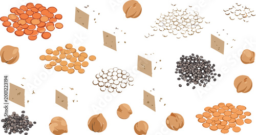 Legumes and Grains Ingredients Vector Set Featuring Lentils, Beans, Chickpeas, Seeds and Plant Based Protein Foods in Flat Illustration Style