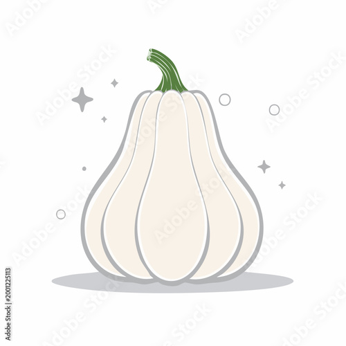 Illustration of a White Pumpkin