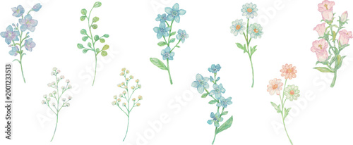 手描き　水彩風　色々な種類のお花