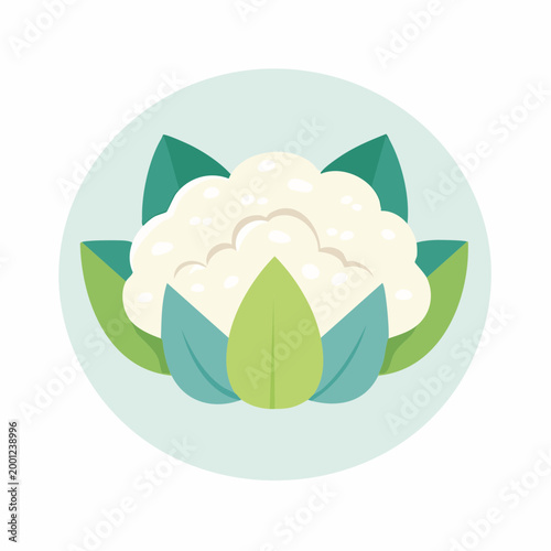Flat illustration of a cauliflower with leaves inside a circle