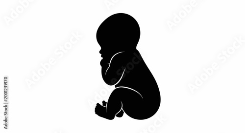 Silhouette of a newborn baby in a fetal position, symbolizing new beginnings and life