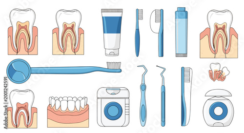 Extensive set of dental care and oral hygiene items including teeth anatomy diagrams brushes floss and tools.