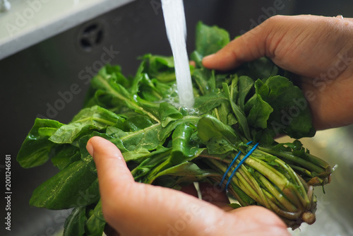 Photos Washing fresh greens in the kitchen sink