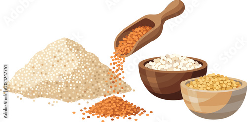 Grains and Lentils Vector Illustration with Rice, Red Lentils, Yellow Split Peas, Flour Pile and Wooden Scoop for Organic Food and Agriculture Design