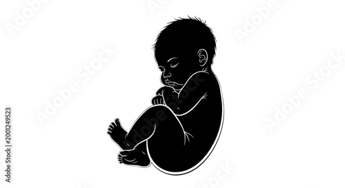 Monochromatic graphic illustration of a baby or fetus in a curled position, symbolizing new life, human development, and the beginning of existence