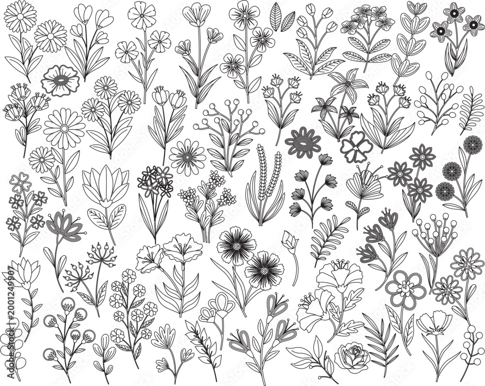 Fototapeta premium Line art flowers set vector Amazing collection for design projects