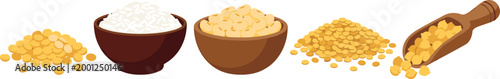 Grains and Lentils Vector Set with Rice, Split Peas, Yellow Lentils, Bowls and Wooden Scoop for Organic Food and Agriculture Illustration