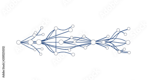 Network connections and nodes diagram 1.