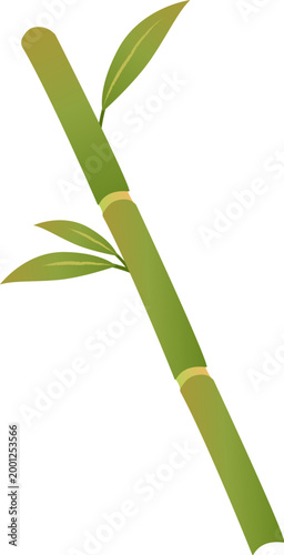 Green Bamboo