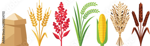 Flat Grain Crops Vector Set with Wheat, Rice, Corn, Sorghum, Flour Sack and Agricultural Plants for Farming, Organic Food and Harvest Design