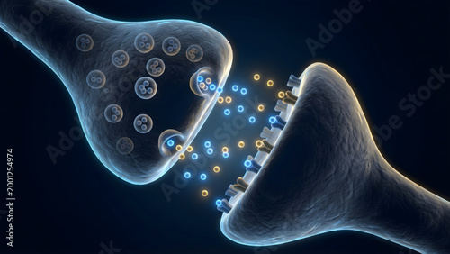 Neurotransmitters that cross the synaptic cleft