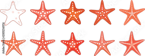 Starfish set with different styles vector illustration collection sea star marine animals isolated ocean design elements pack