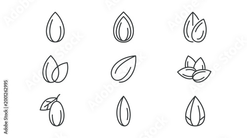 A collection of nine minimalist line art icons depicting various forms of almonds, including shelled, unshelled, and grouped nuts, on a white background.