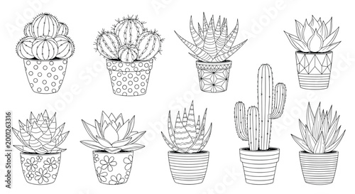 Collection of ten different cactus and succulent plants in various decorative ceramic pots, shown in a clean line art style.