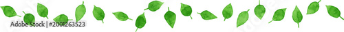 緑の葉によるライン素材、水彩画、ボーダー、フレーム