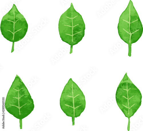 緑の木の葉による素材セット　水彩　