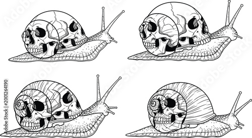 Skull snail shell vector illustrations Vector