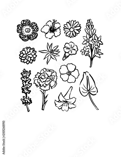 A charming set of hand-drawn floral doodles featuring hibiscus, lavender, Rafflesia arnoldii, carnations, and lily