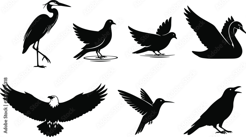 Fototapeta premium Black bird silhouette collection with flying perched and water birds isolated on white background wildlife vector illustration set