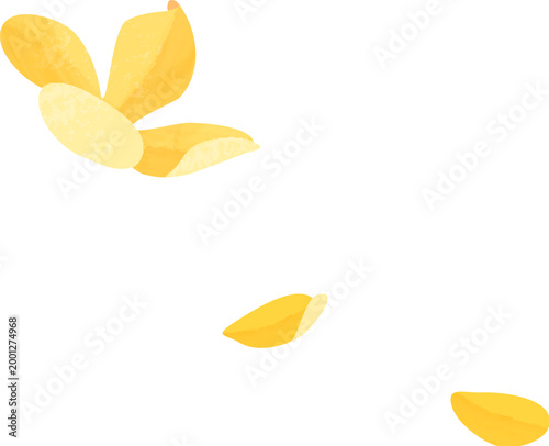 Yellow osmanthus flower