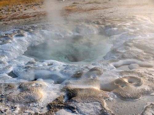 Slika na platnu Spasmodic Geyser with steam rising from hot boiling water in Yellowstone
