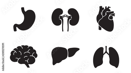 Human organ icons set with lungs, kidneys, heart, liver, and brain symbols in bold black silhouette style
