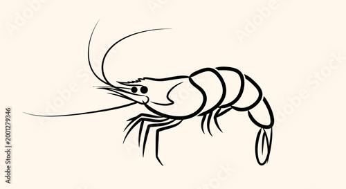 Simple Shrimp Illustration