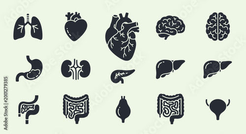 Minimalist human internal organ icon set for medical design