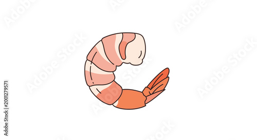 Cooked Shrimp Illustration
