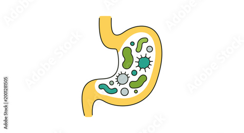 Human Stomach Filled with Diverse Microorganisms and Gut Microbiome Concept