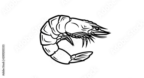 Hand-drawn Shrimp Illustration, Seafood Ingredient, Marine Life Sketch
