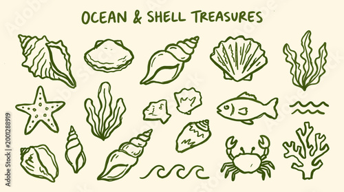 Ocean and Shell Treasures Collection Hand Drawn Illustration