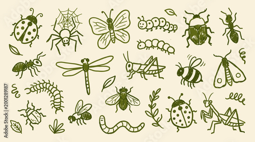 Collection of hand drawn insects and bugs in green sketch style on a light background, perfect for educational or nature themed designs