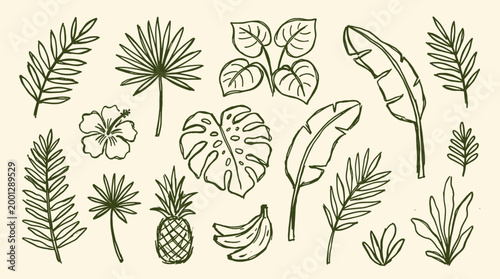 Hand drawn tropical leaves pineapple banana hibiscus flower and monstera plant elements for summer design and decoration