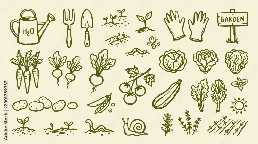 Fototapeta premium Hand drawn garden elements and vegetables collection on a light background for organic farming and healthy eating concepts
