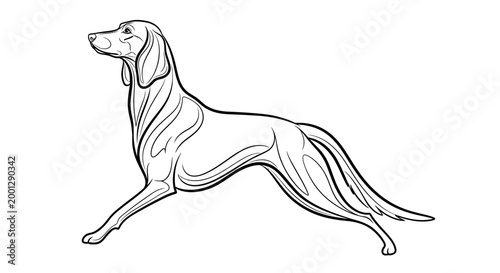 Foto Elegant Dog Silhouette, Stylized Line Art, Breed Portrait