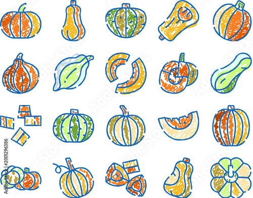 Obraz na płótnie Autumn harvest collection of hand drawn pumpkins and squashes in vibrant sketch