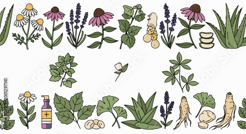 Botanical illustrations of various herbs, flowers, roots, and a bottle