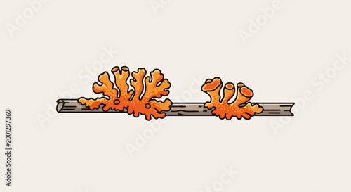 Bright orange lichen grows in branching formations on a textured gray wooden branch