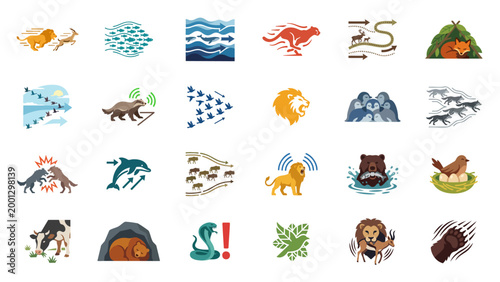 Animal Migration Behavior Icon Set with Herd Movement Predator Chase and Wildlife Tracks