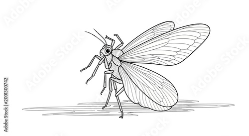 Foto Detailed Ink Drawing of a Cicada Insect with Wings Spread