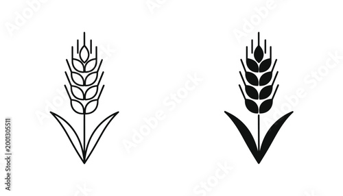 Single ear of wheat with leaves isolated on white background minimalist vector line art and solid silhouette icons for agriculture and food