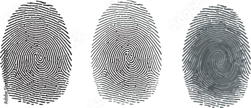Detailed black and white fingerprint set featuring human finger prints with swirl patterns and unique identity loops for biometric security and forensic investigation concepts