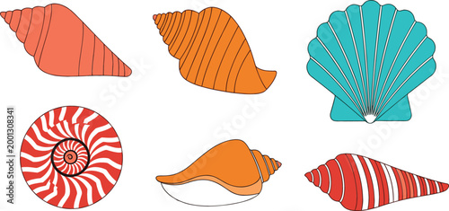 Colorful seashell set including spiral conch and scallop shells decorative marine elements vector illustration isolated on light background