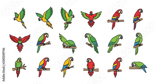 Colorful Parrots on Branches Birds.