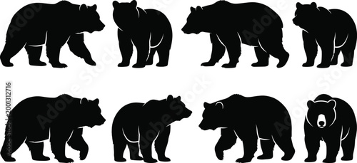 Bear silhouettes collection with various poses including walking, standing and wildlife animal figures for nature, zoo and safari design projects