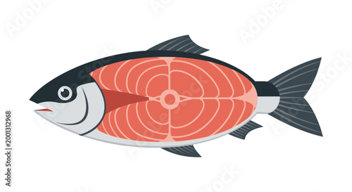 Stylized illustration of a salmon fish with cross section against white backdrop