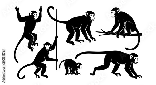 Monkey silhouettes set in various poses, black and white graphic illustration of wild primates