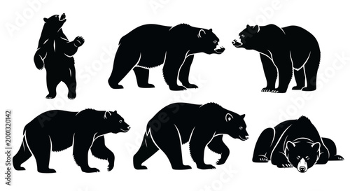 Set of Bear Silhouettes in Various Poses